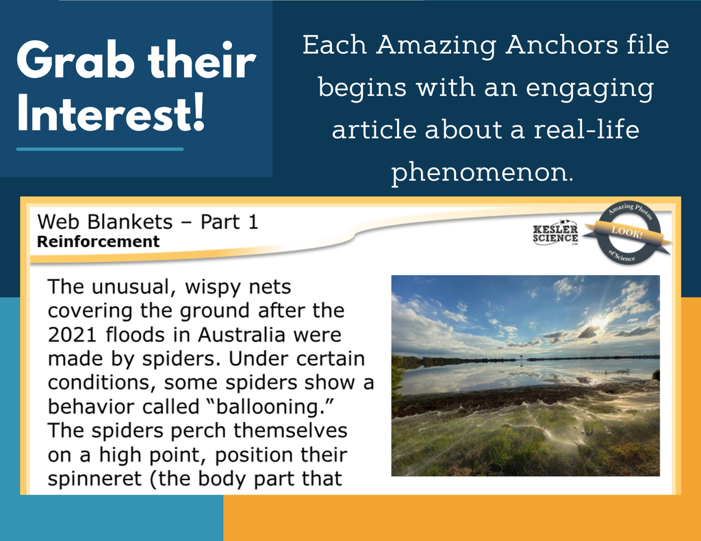 Amazing Anchors Responding to External Stimuli (Web Blankets) - MS 6-8