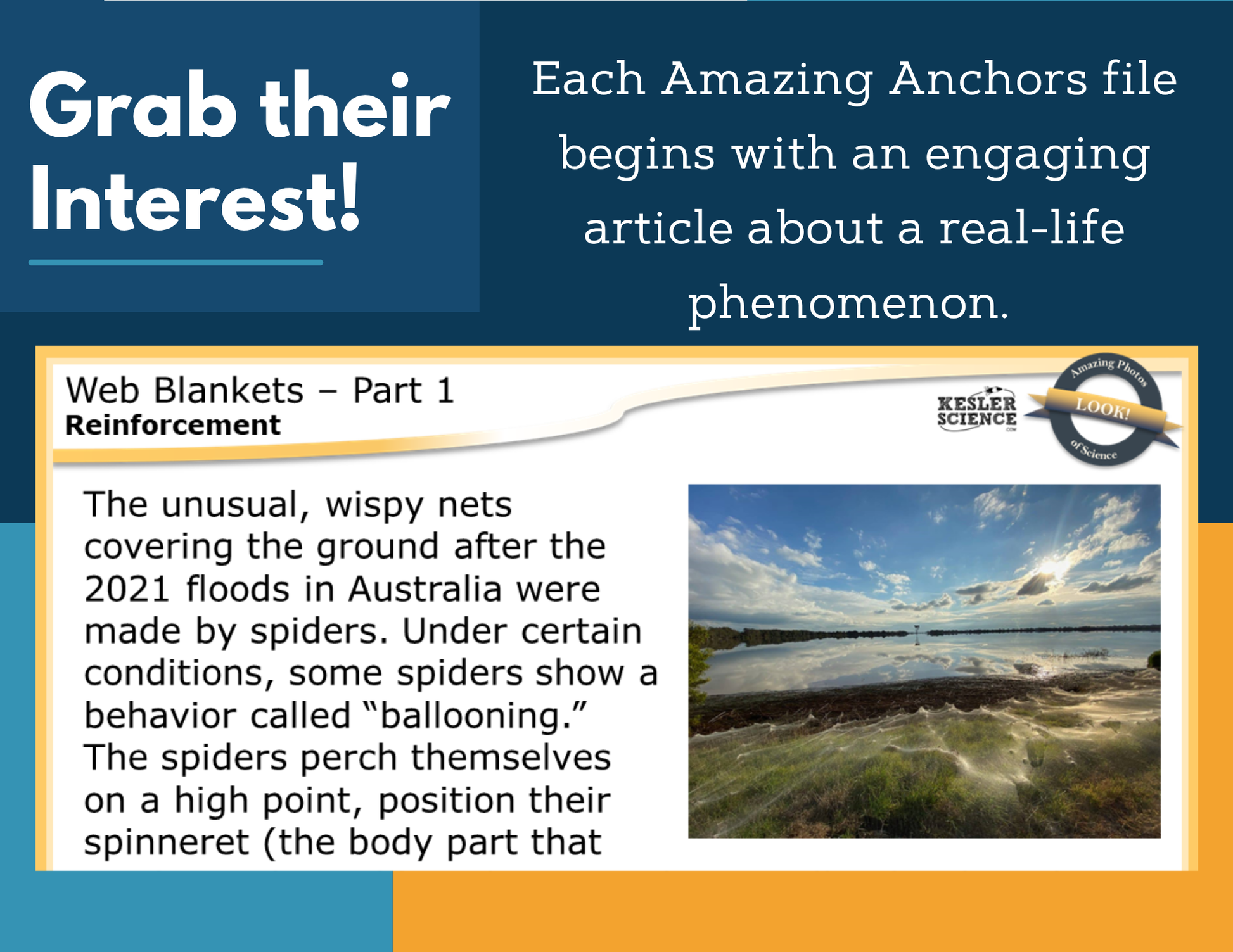 Amazing Anchors Responding to External Stimuli (Web Blankets) - MS 6-8