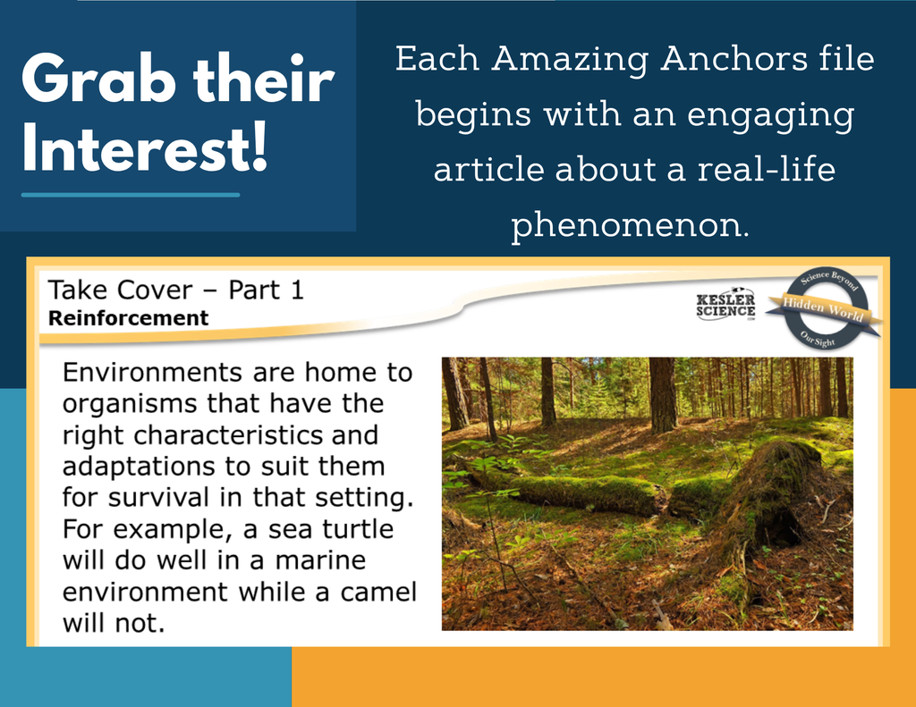 Amazing Anchors Biomes (Take Cover) - MS 6-8