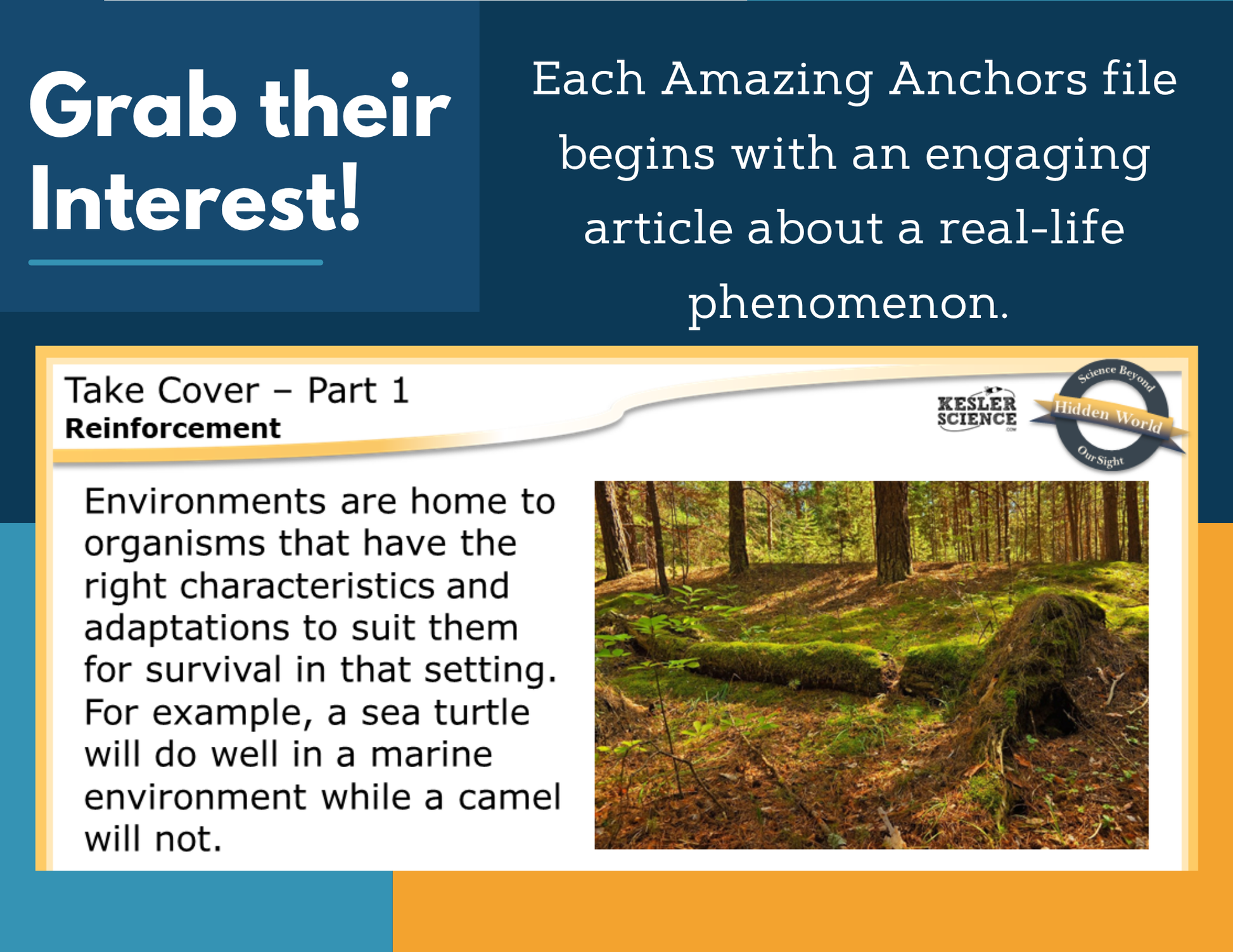 Amazing Anchors Biomes (Take Cover) - MS 6-8