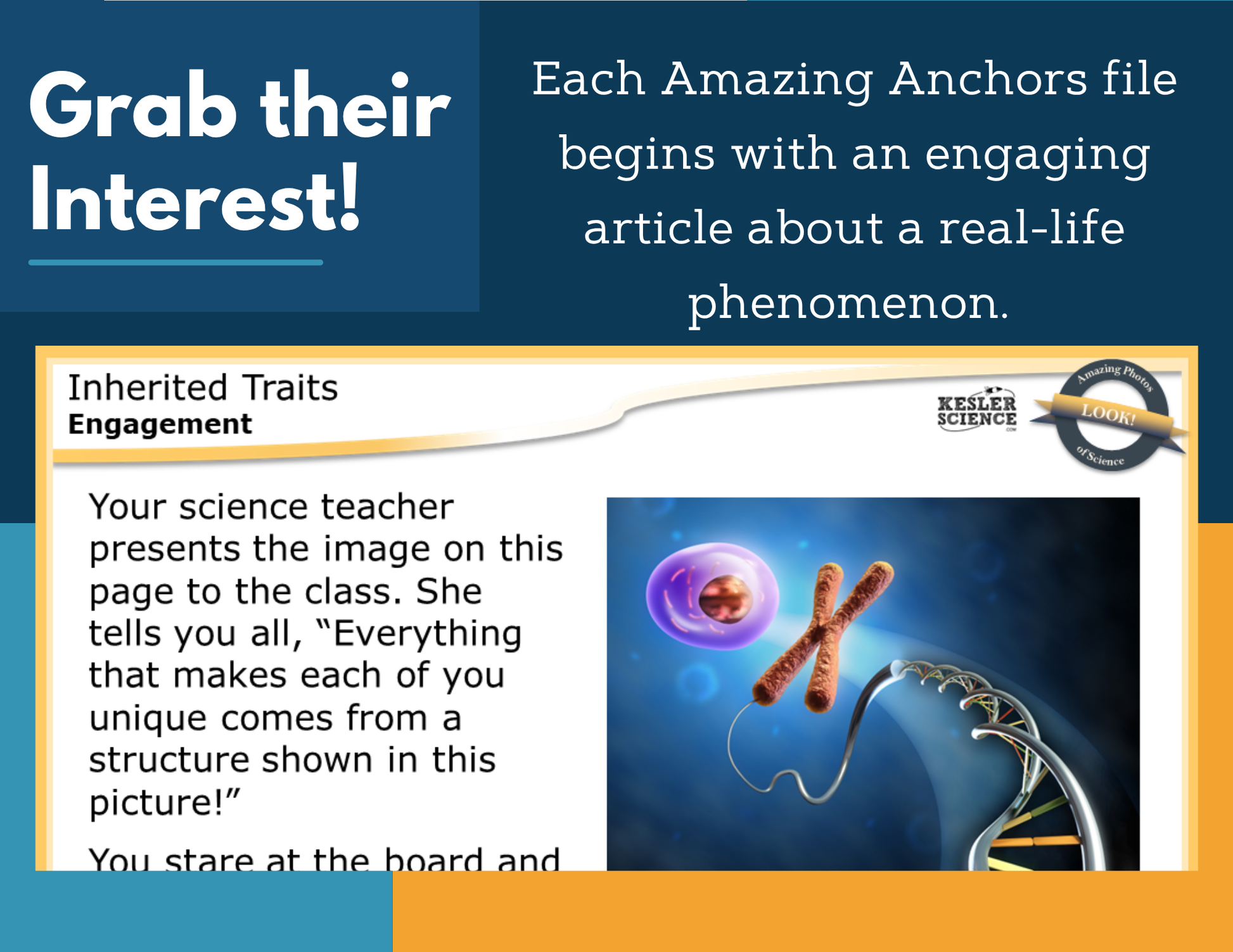 Amazing Anchors Inherited Traits - MS 6-8