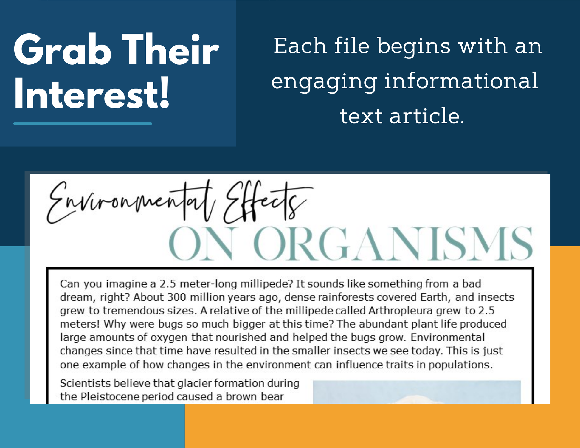 MS 6th 7th 8th Science Reading Comprehension Passages - VOL. 3 - Environmental Effects Organisms