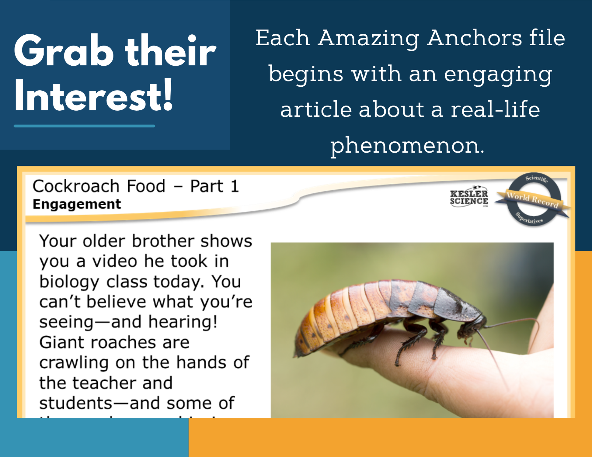 Amazing Anchors Influencing Organism Growth (Cockroach Food) - NGSS MS LS1-5