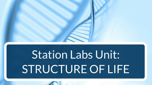 Structure of Life Station Labs Bundle
