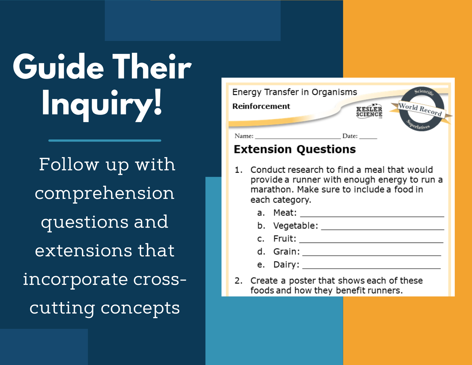 Amazing Anchors Energy Transfer in Organisms - MS 6-8