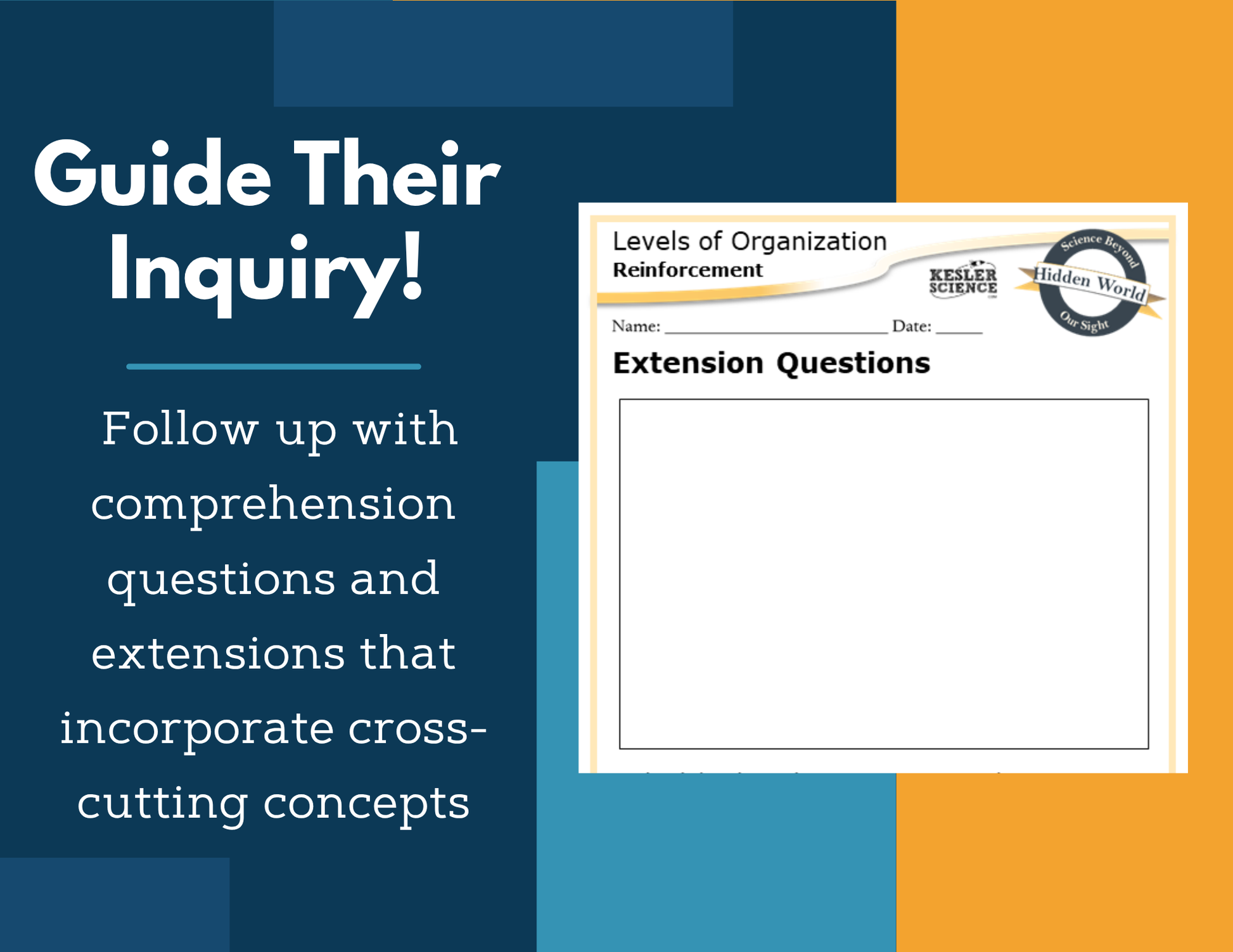 Amazing Anchors Organization of Organisms (Levels of Organization) - MS 6-8