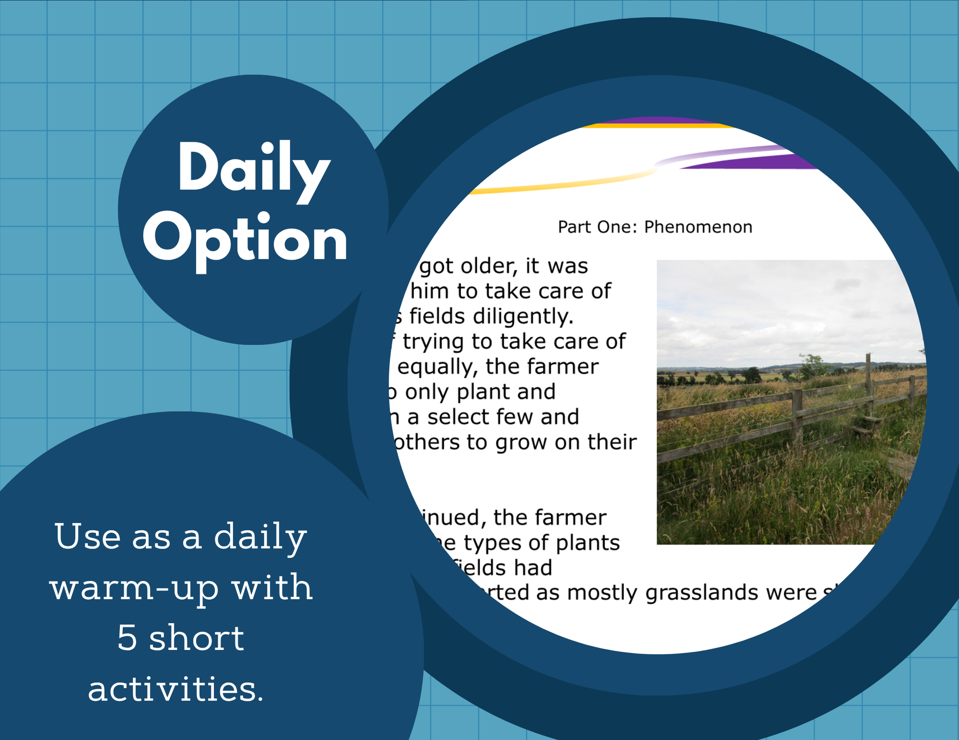 Weekly Visual Data: Graphs, Charts, & Tables - Grades 6-8