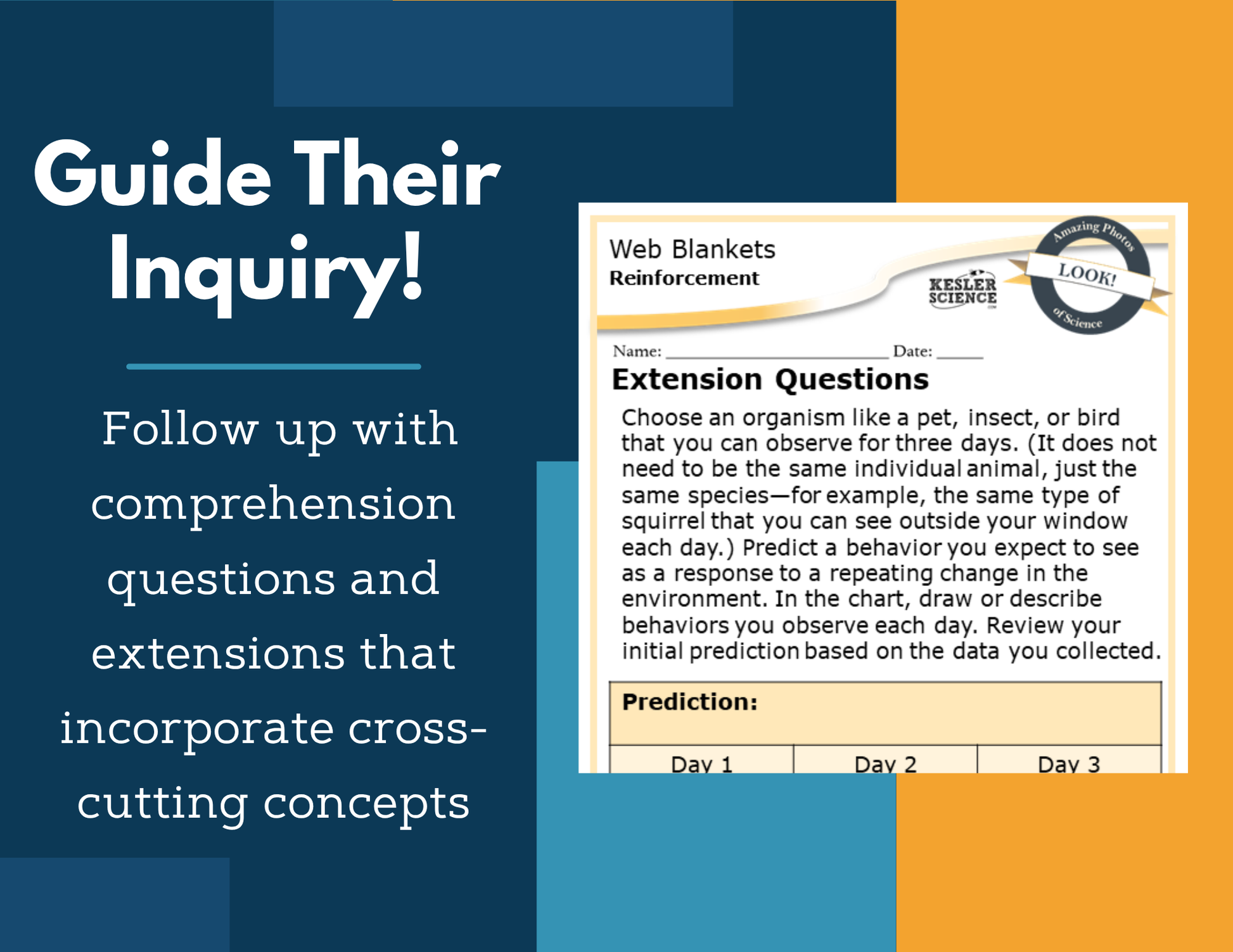 Amazing Anchors Responding to External Stimuli (Web Blankets) - MS 6-8