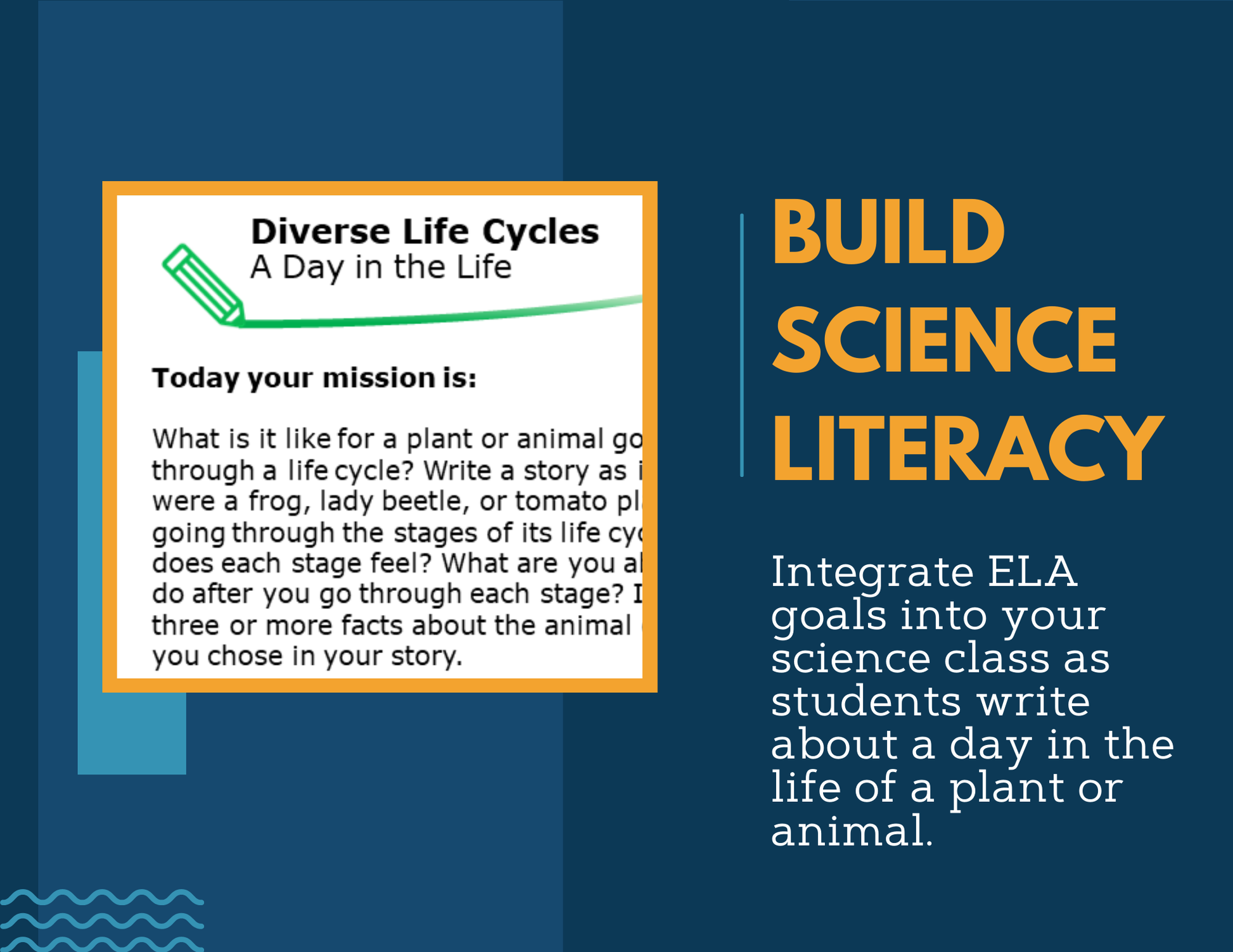 Writing Prompts - Diverse Life Cycles - 3rd Gr