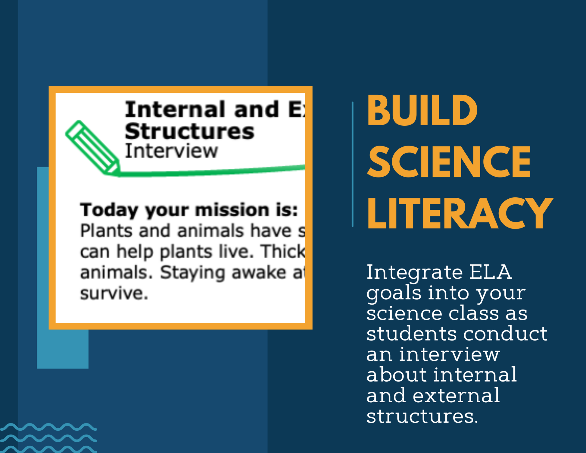 Writing Prompts - Internal & External Structures - 4th Gr NGSS