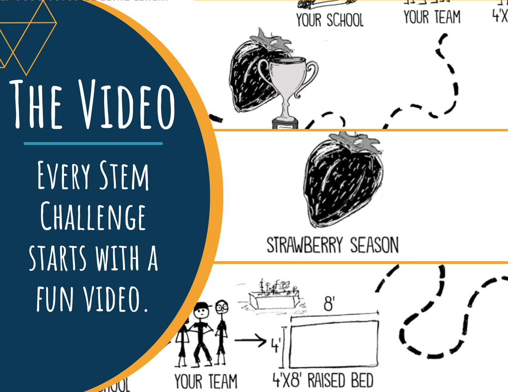 STEM Challenge - Project How Does Your Garden Grow? - Design a Strawberry Garden