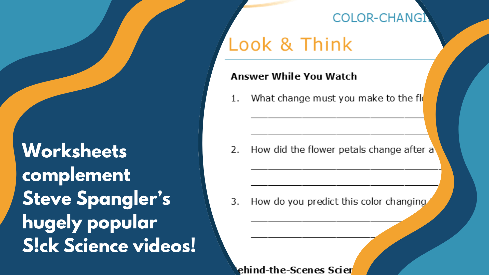 Color-Changing Carnations - Spangler Video Worksheets with CER