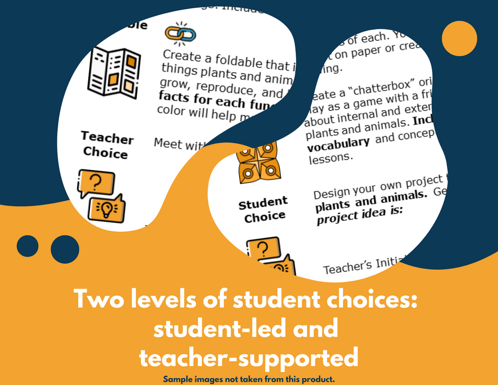 Differentiate Weather & Climate - Student Choice Projects, Gr 4, New TEKS 4.10C