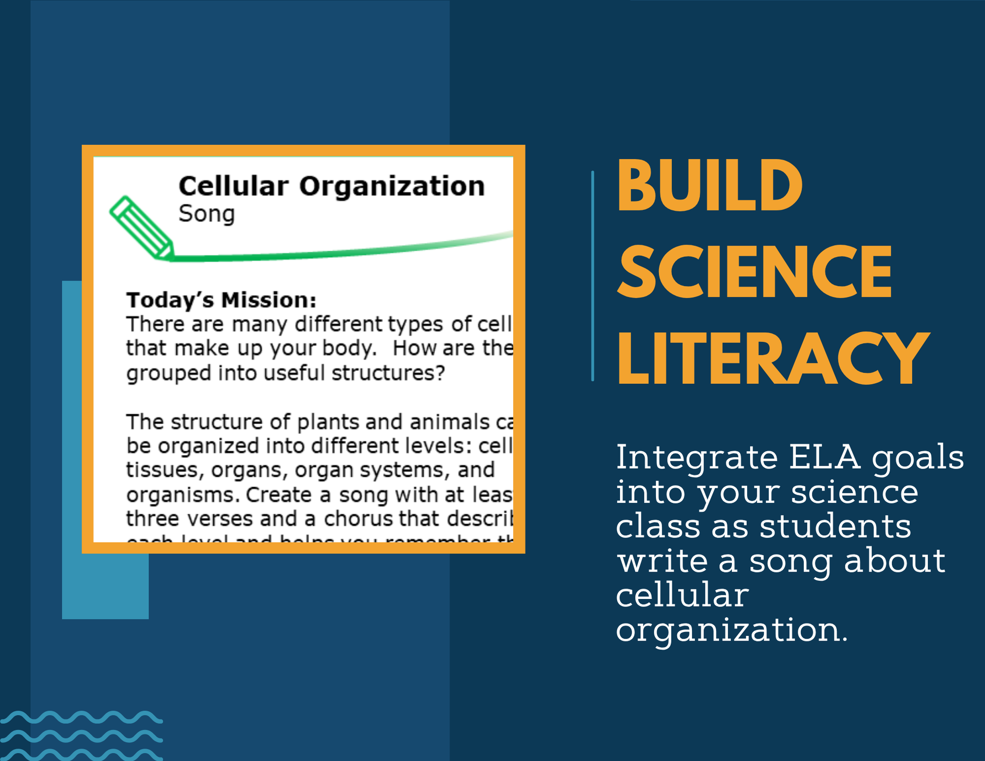Writing Prompts - Cellular Organization - MS 6-8