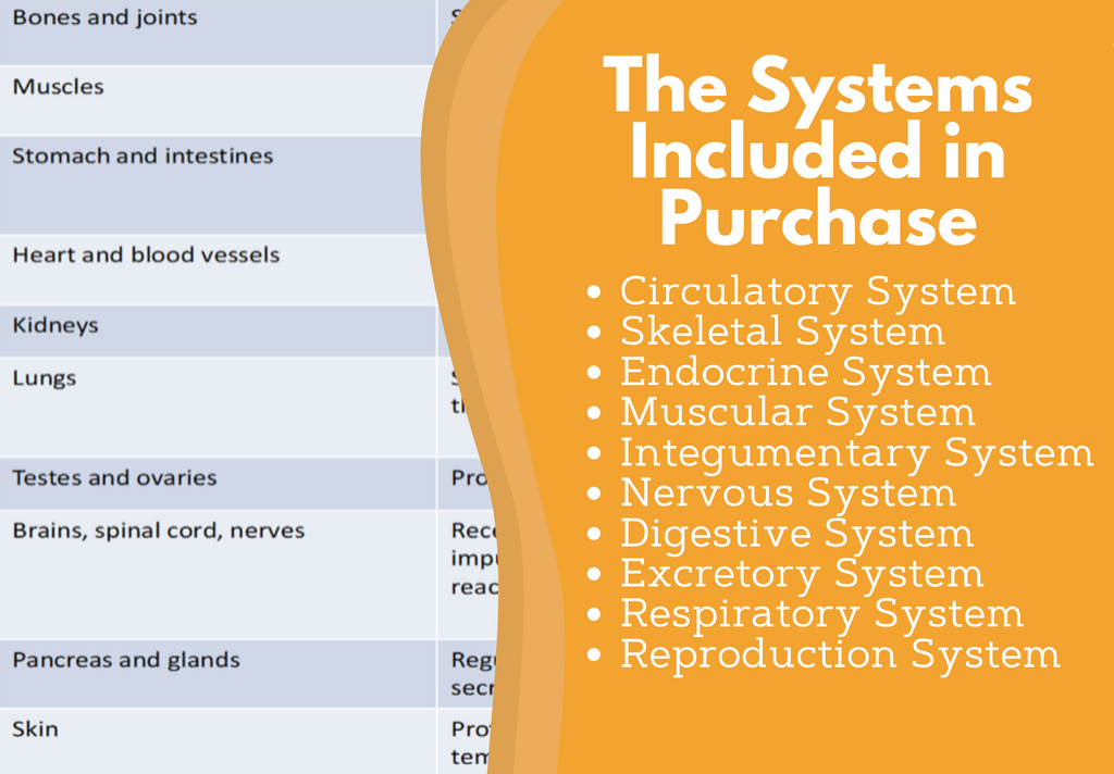 Body Systems Card Sort or Lab Station Activity
