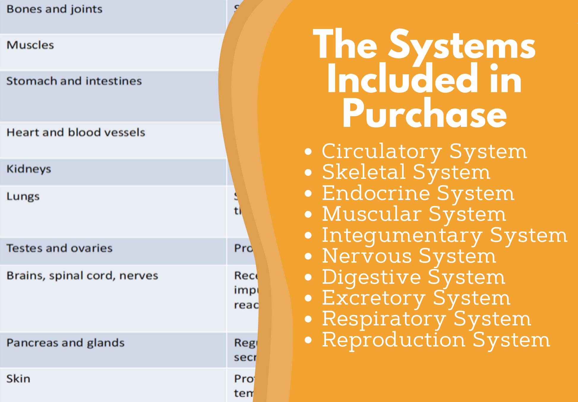 Body Systems Card Sort or Lab Station Activity