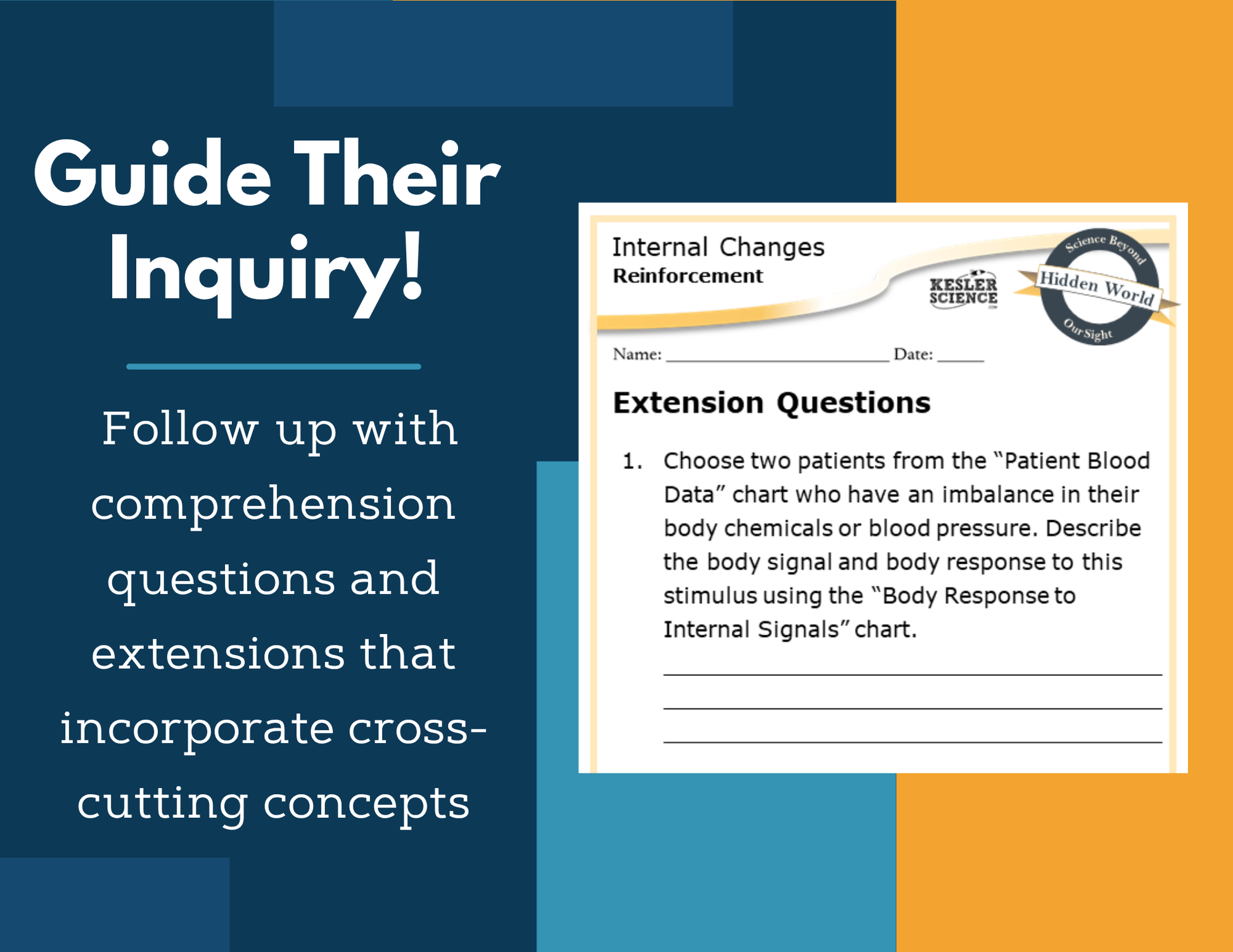 Amazing Anchors Responding to Internal Stimuli (Internal Changes) - MS 6-8