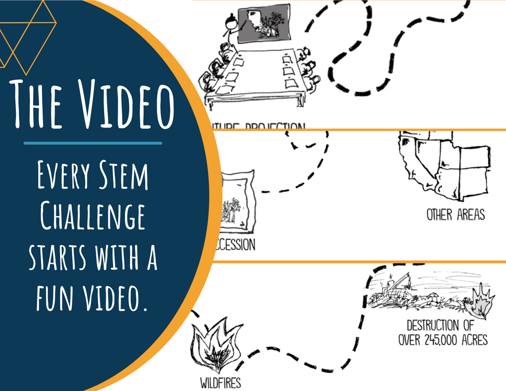 STEM Challenge - Project What Happens Next - Create a Succession Flipbook