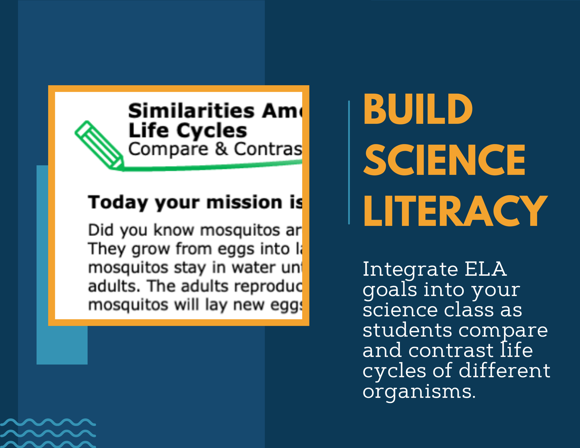 Writing Prompts - Similarities Among Diverse Life Cycles - 3rd Gr NGSS
