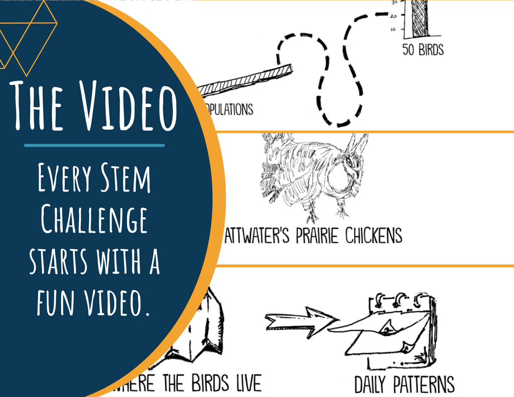 STEM Challenge - Project Last Dance - Design a Prairie Chicken Research Enclosur