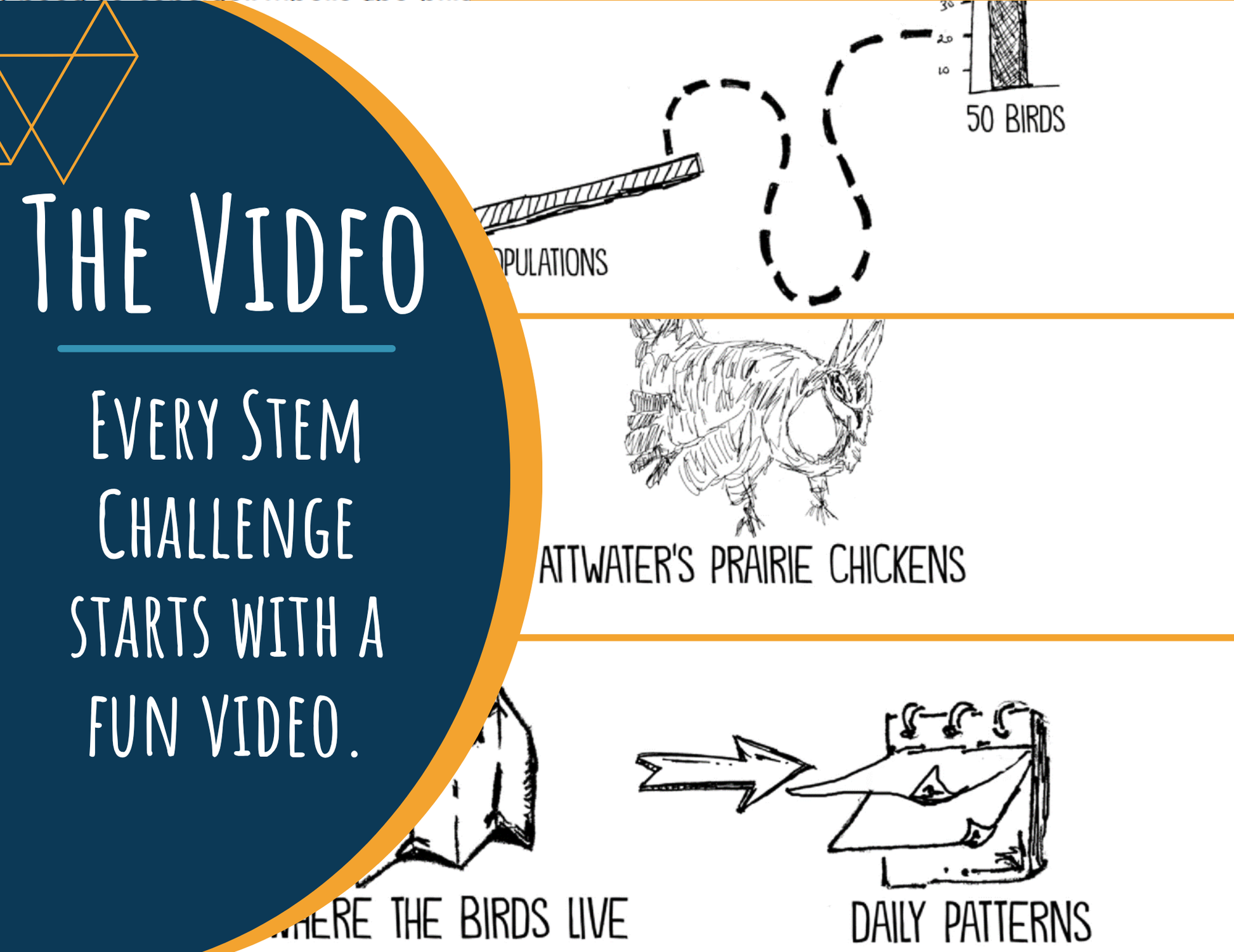 STEM Challenge - Project Last Dance - Design a Prairie Chicken Research Enclosur