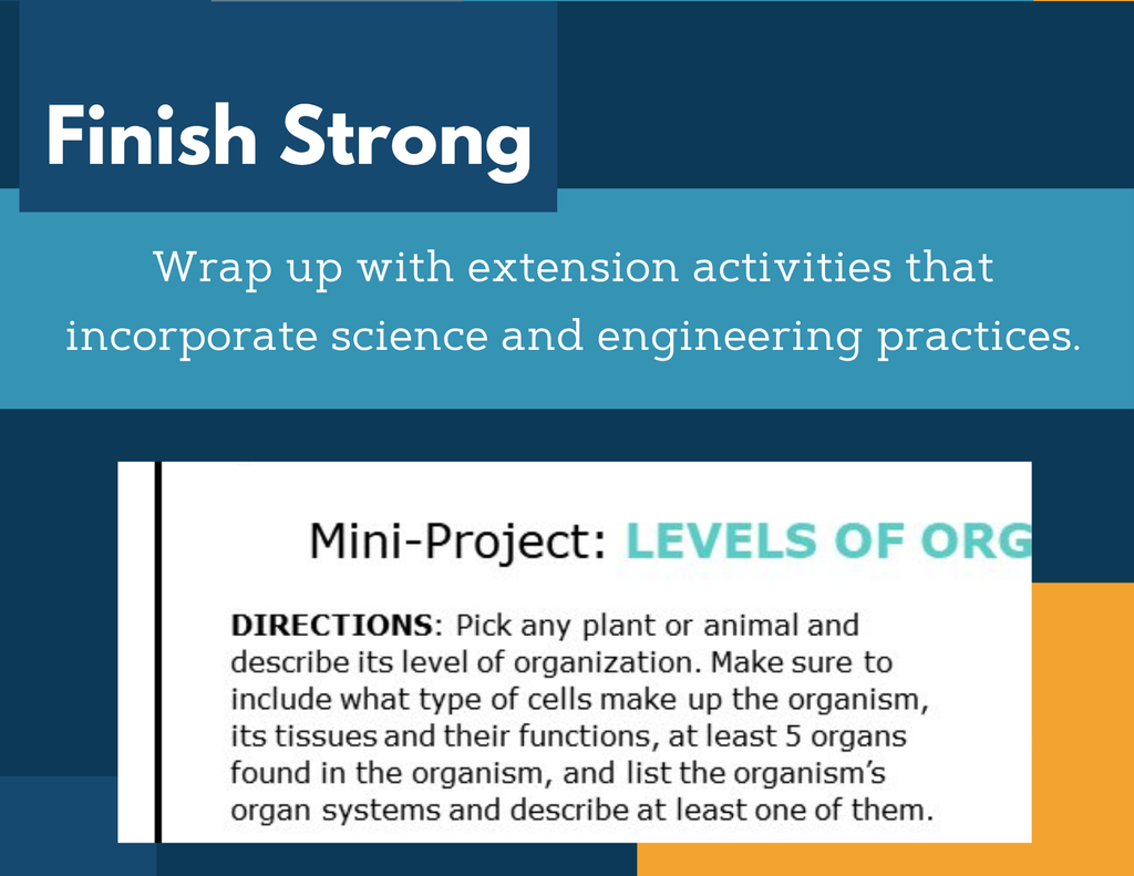 MS 6th 7th 8th Science Reading Comprehension Passages - VOL. 3 - Levels of Organization