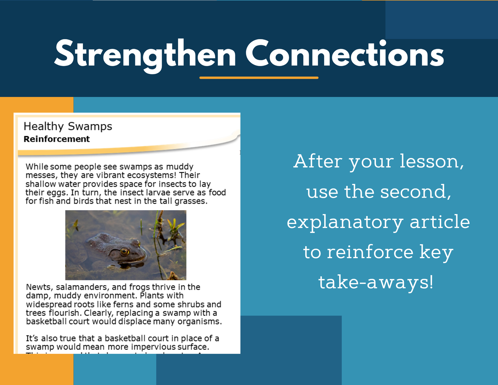 Amazing Anchors Biodiversity (Healthy Swamps) - NGSS MS LS2-5