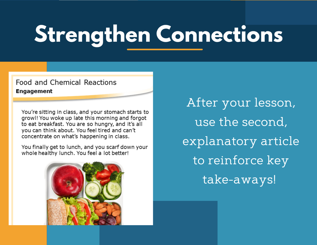 Amazing Anchors Food & Chemical Reactions - NGSS MS LS1-7