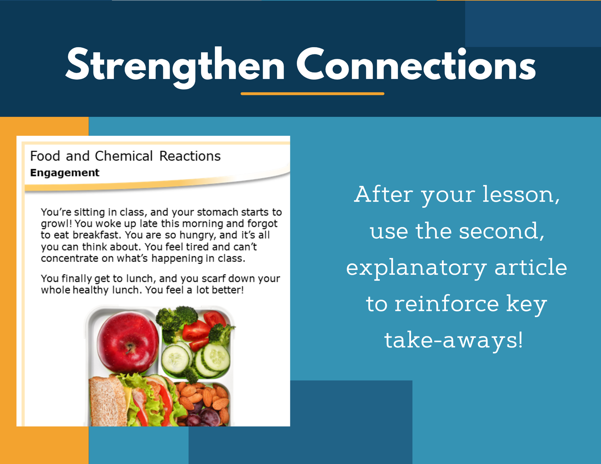 Amazing Anchors Food & Chemical Reactions - NGSS MS LS1-7