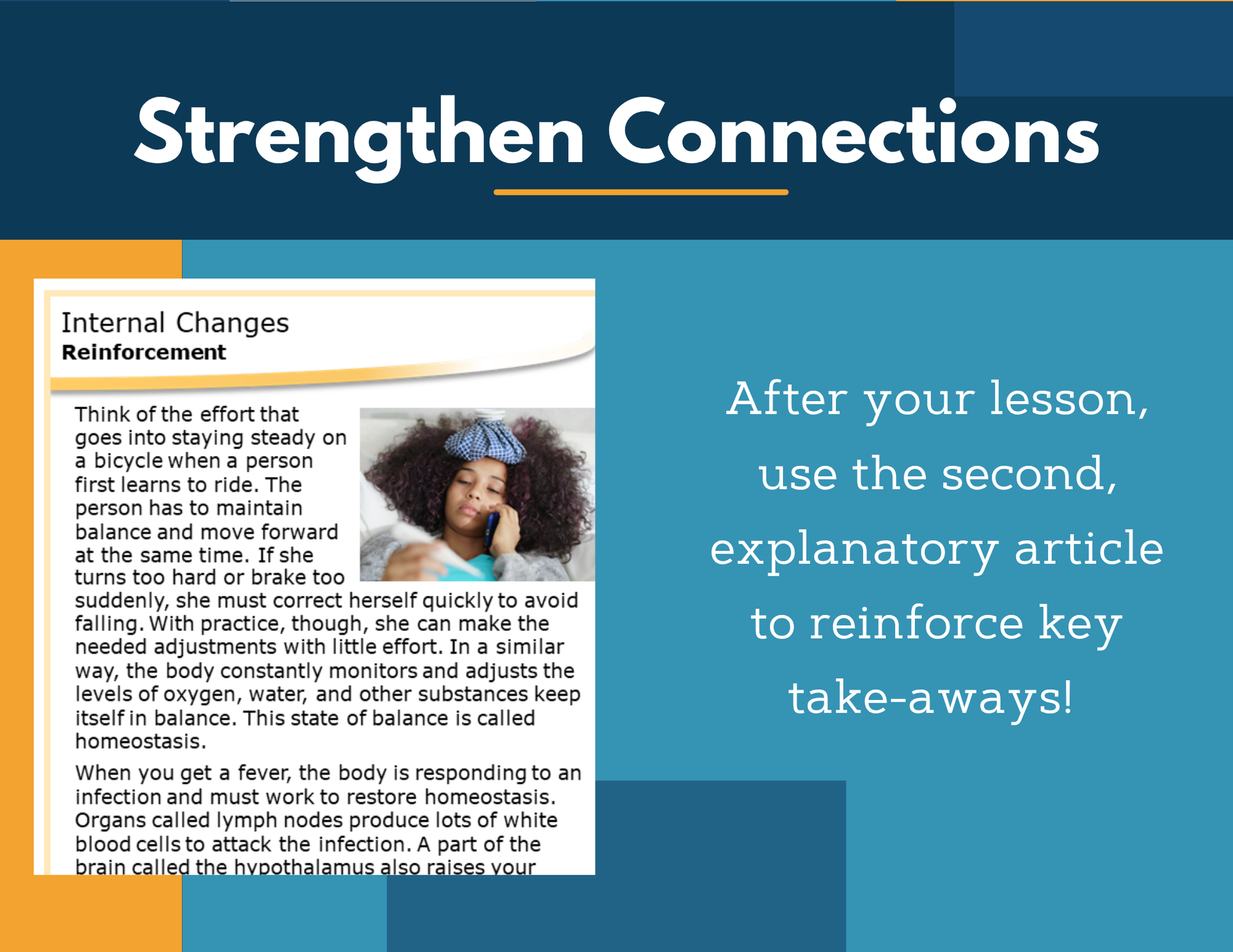 Amazing Anchors Responding to Internal Stimuli (Internal Changes) - MS 6-8