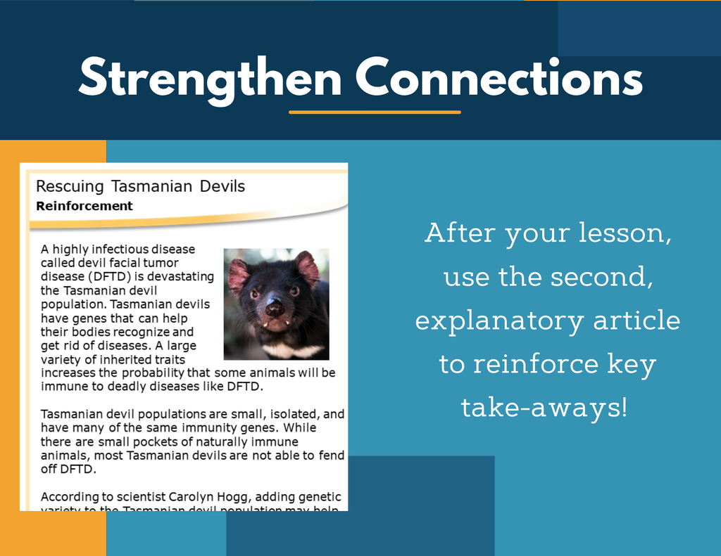Amazing Anchors Genetic Variation for Survival (Rescuing Tasmanian Devils) - NGSS MS LS4-4