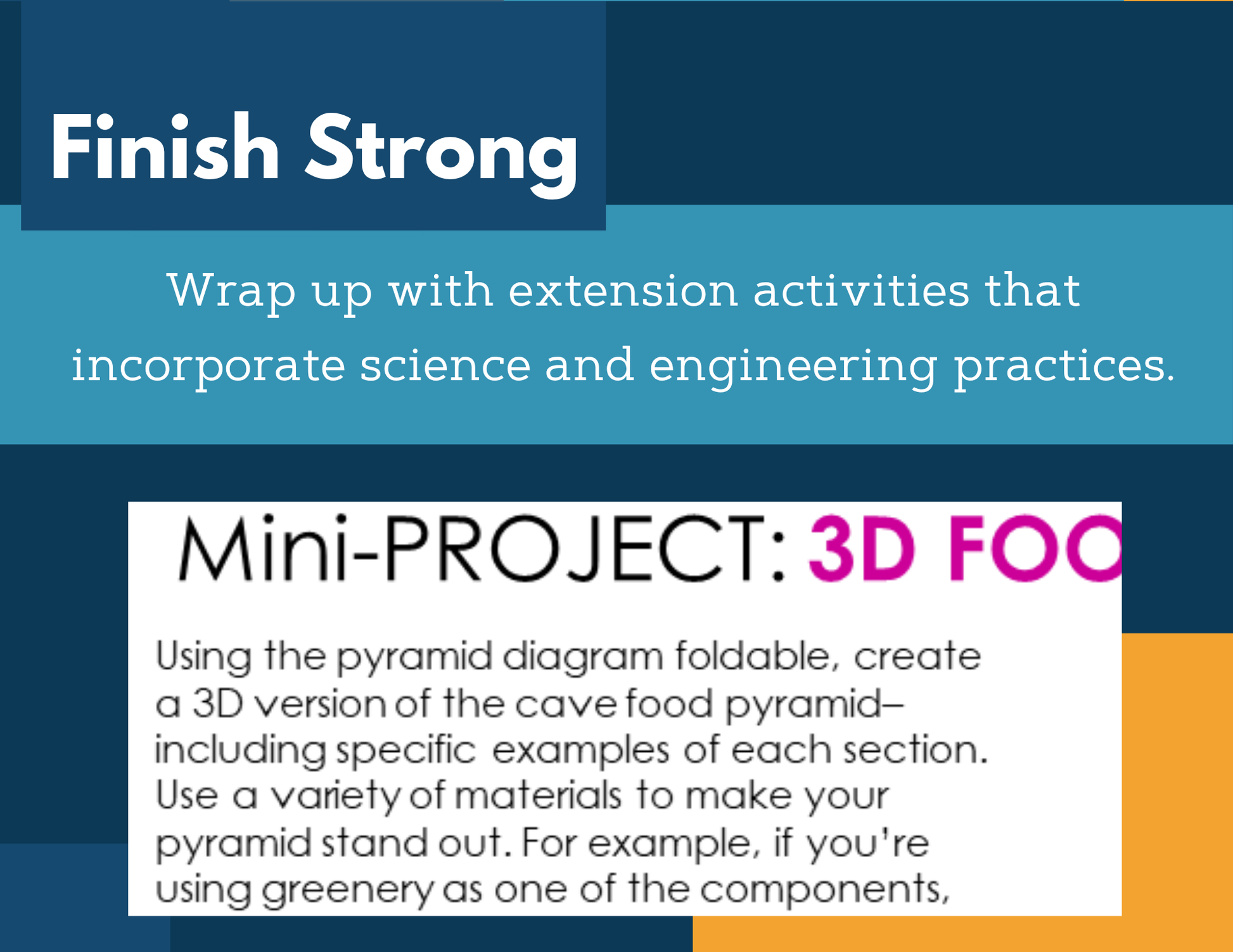 MS 6th 7th 8th Science Reading Comprehension Passages - Cave Food Pyramids
