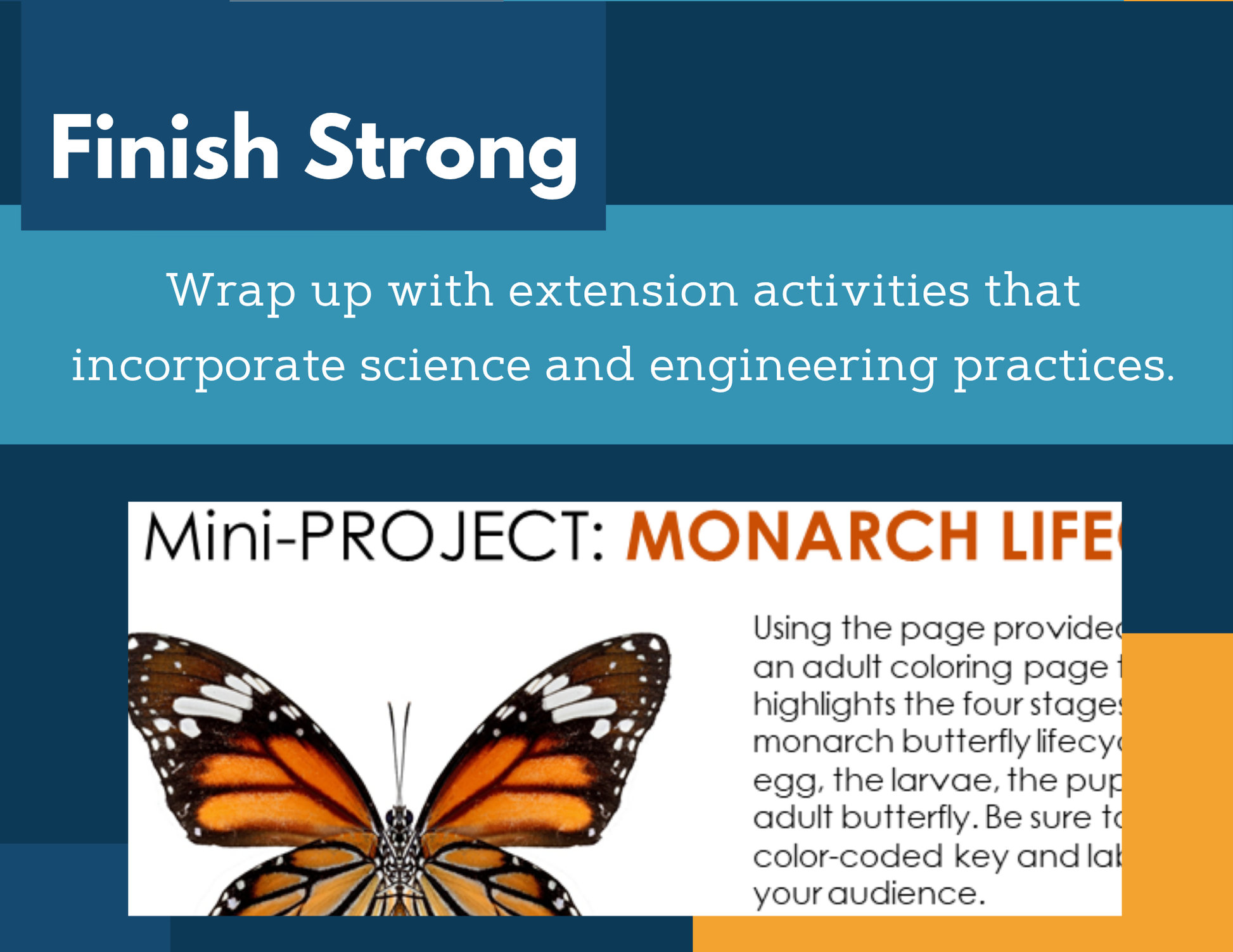 MS 6th 7th 8th Science Reading Comprehension Passages - Monarch Butterflies