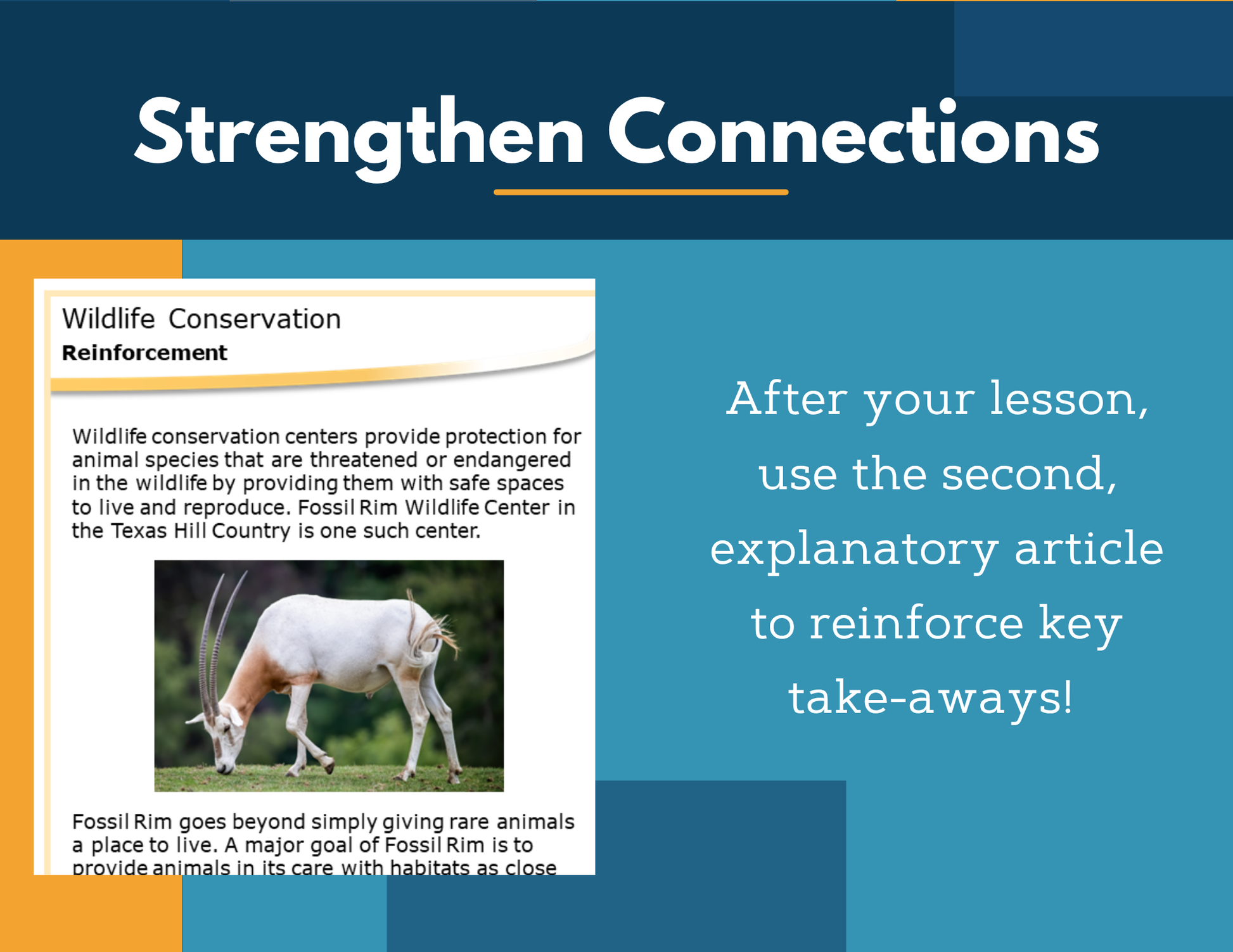 Amazing Anchors Minimizing Human Impact (Wildlife Conservation) - NGSS MS ESS3-3