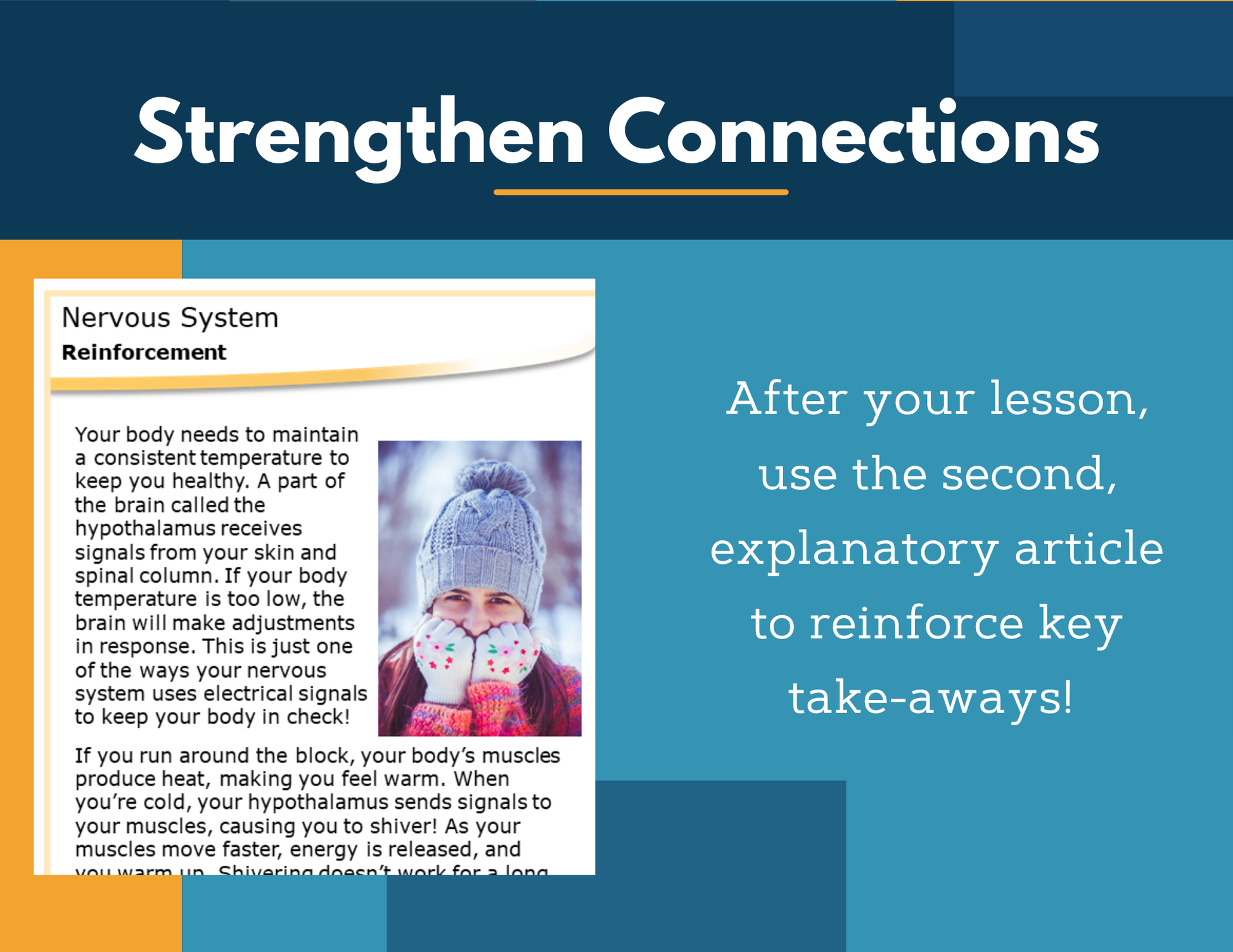 Amazing Anchors - Nervous System - NGSS MS LS1-8, MS 6-8