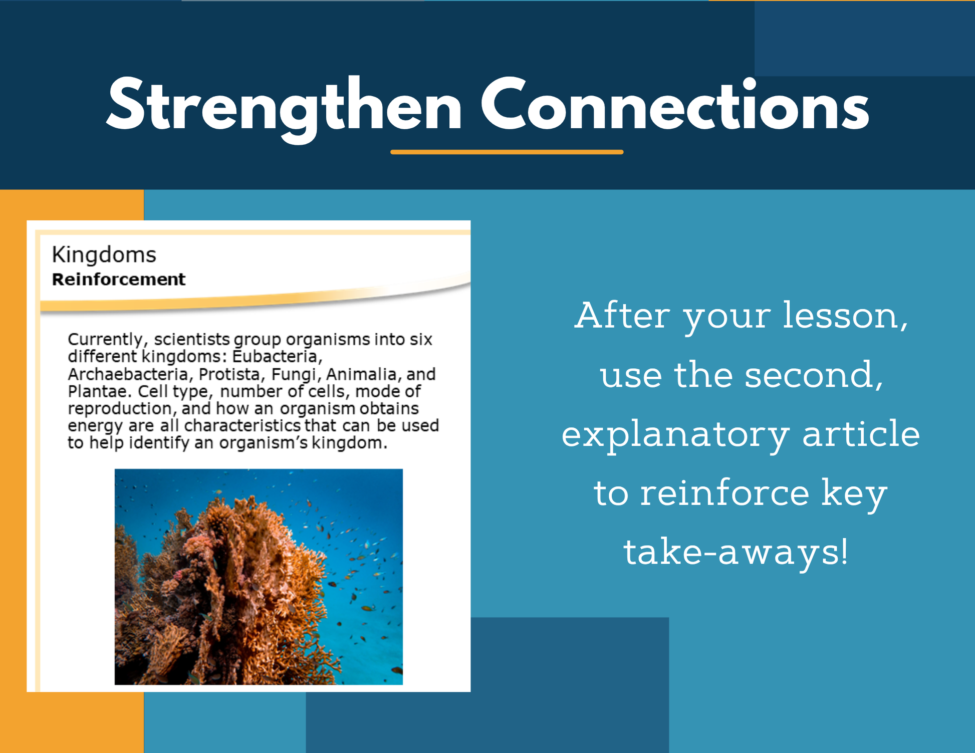 Amazing Anchors Characteristics of Organisms (Kingdoms) - MS 6-8
