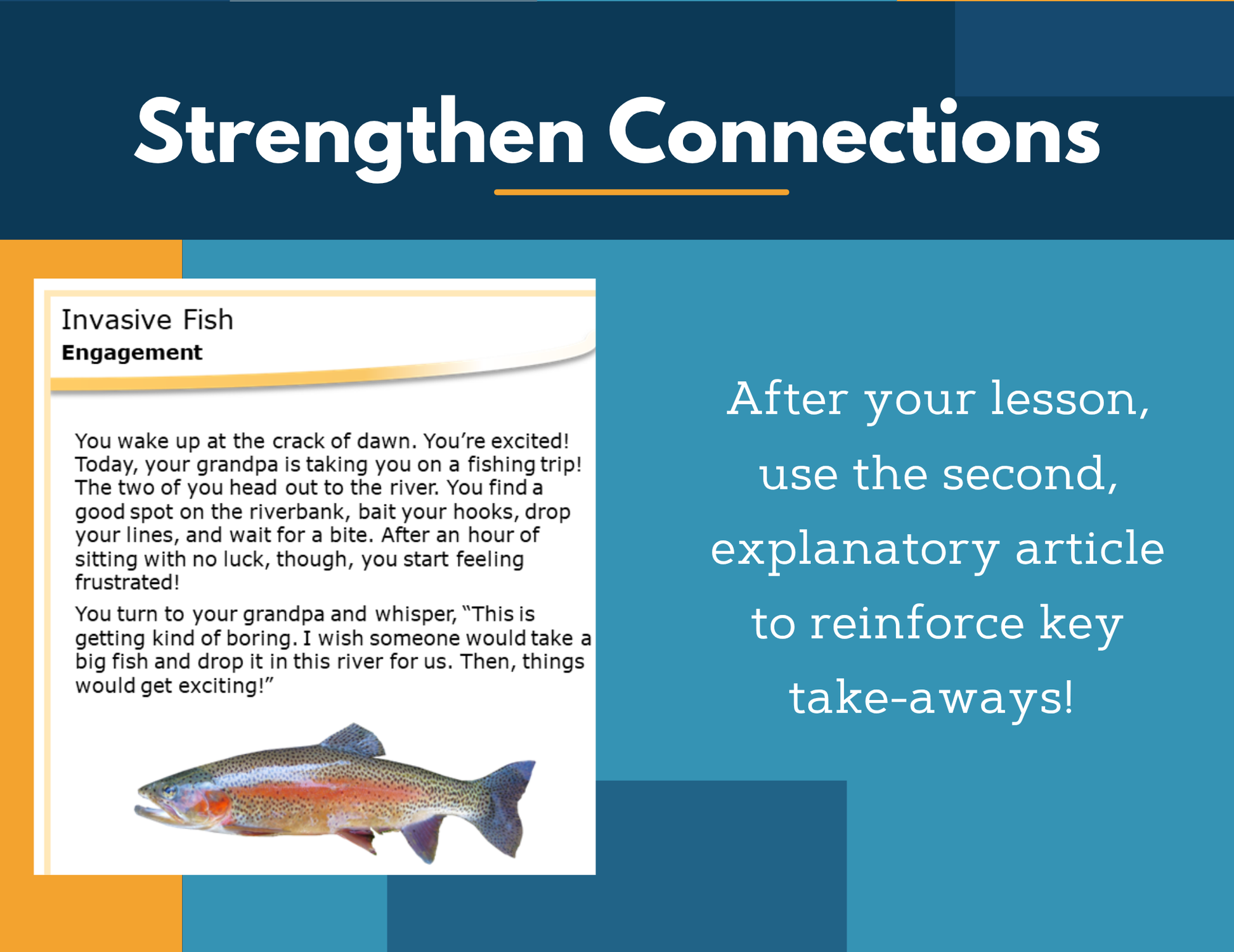 Amazing Anchors Environmental Changes (Invasive Fish) - NGSS MS LS2-4, MS 6-8