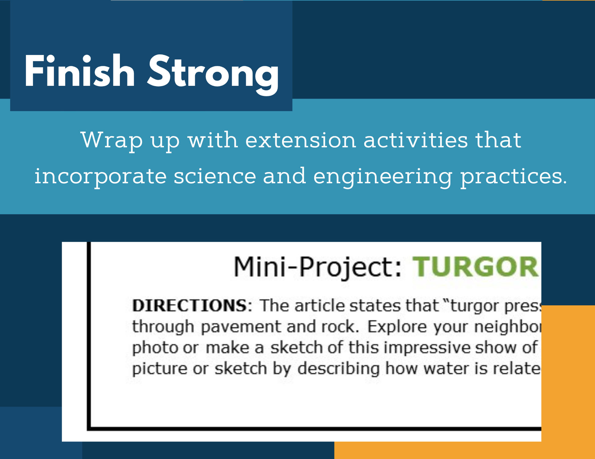 MS 6th 7th 8th Science Reading Comprehension Passages - VOL. 4 - Tropisms & Turgor Pressure