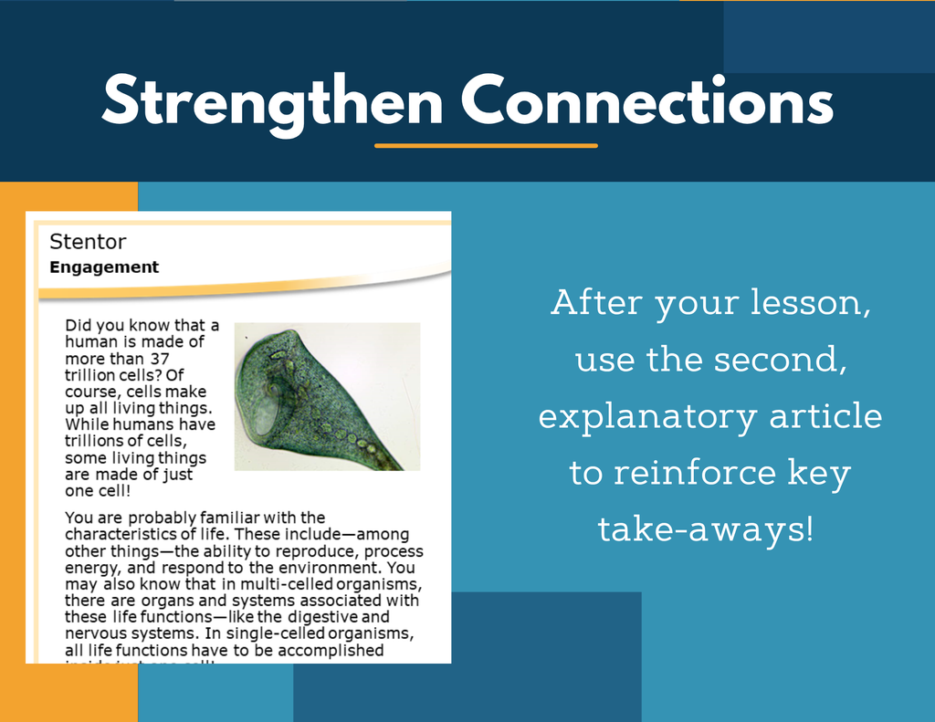 Amazing Anchors Cell Parts & Functions (Stentor) - NGSS MS LS1-2