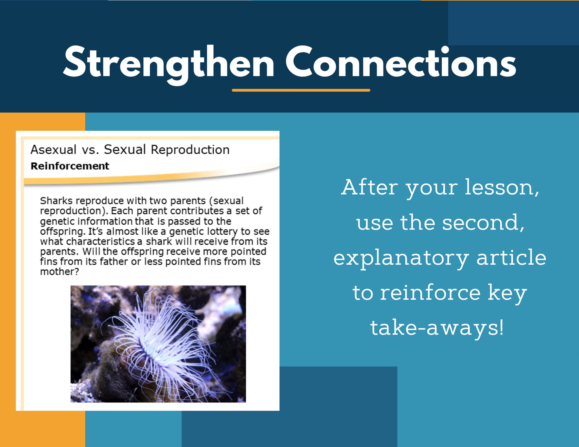 Amazing Anchors Sexual vs Asexual Reproduction - NGSS MS LS3-2