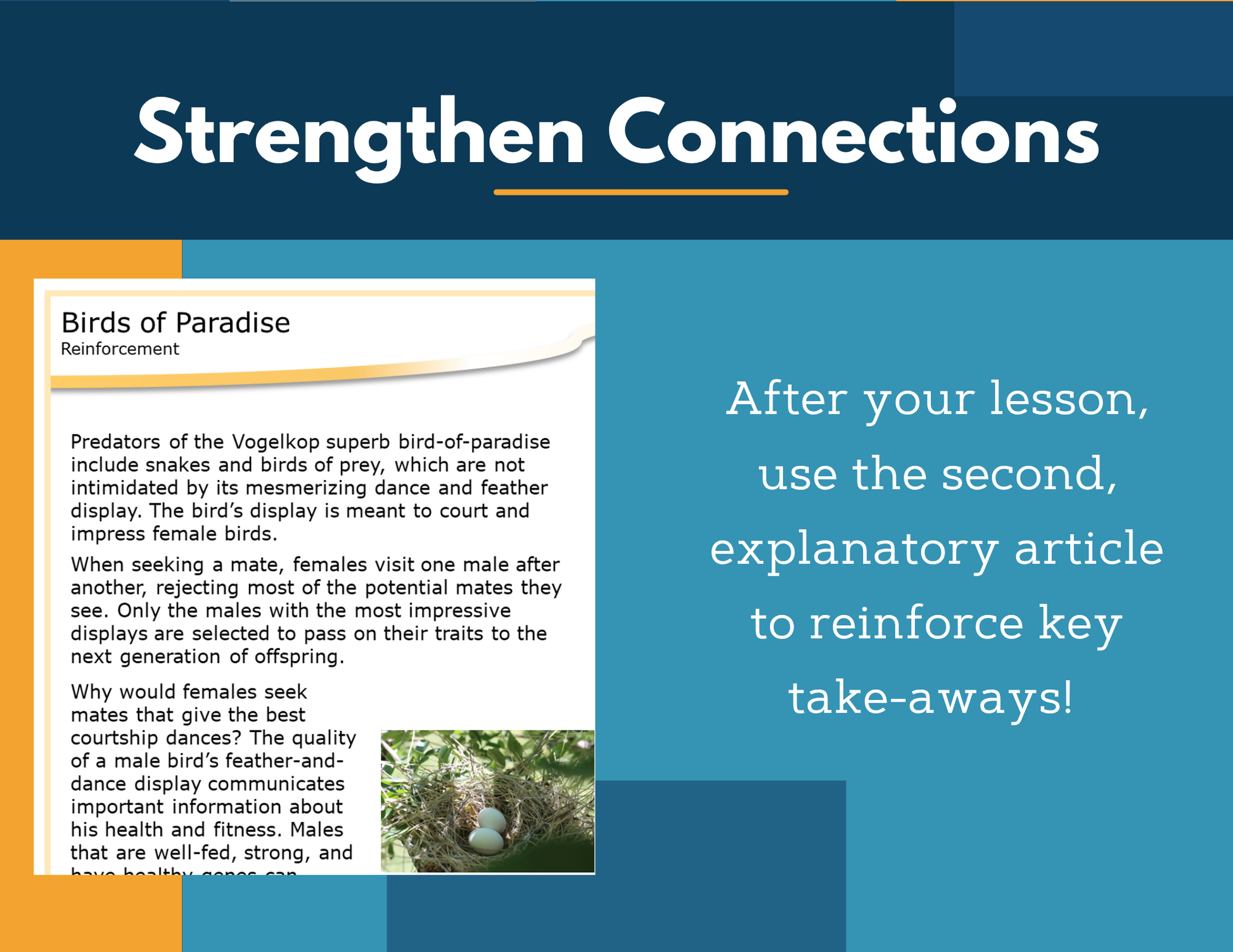 Amazing Anchors Plant & Animal Reproduction (Birds of Paradise) - NGSS MS LS1-4