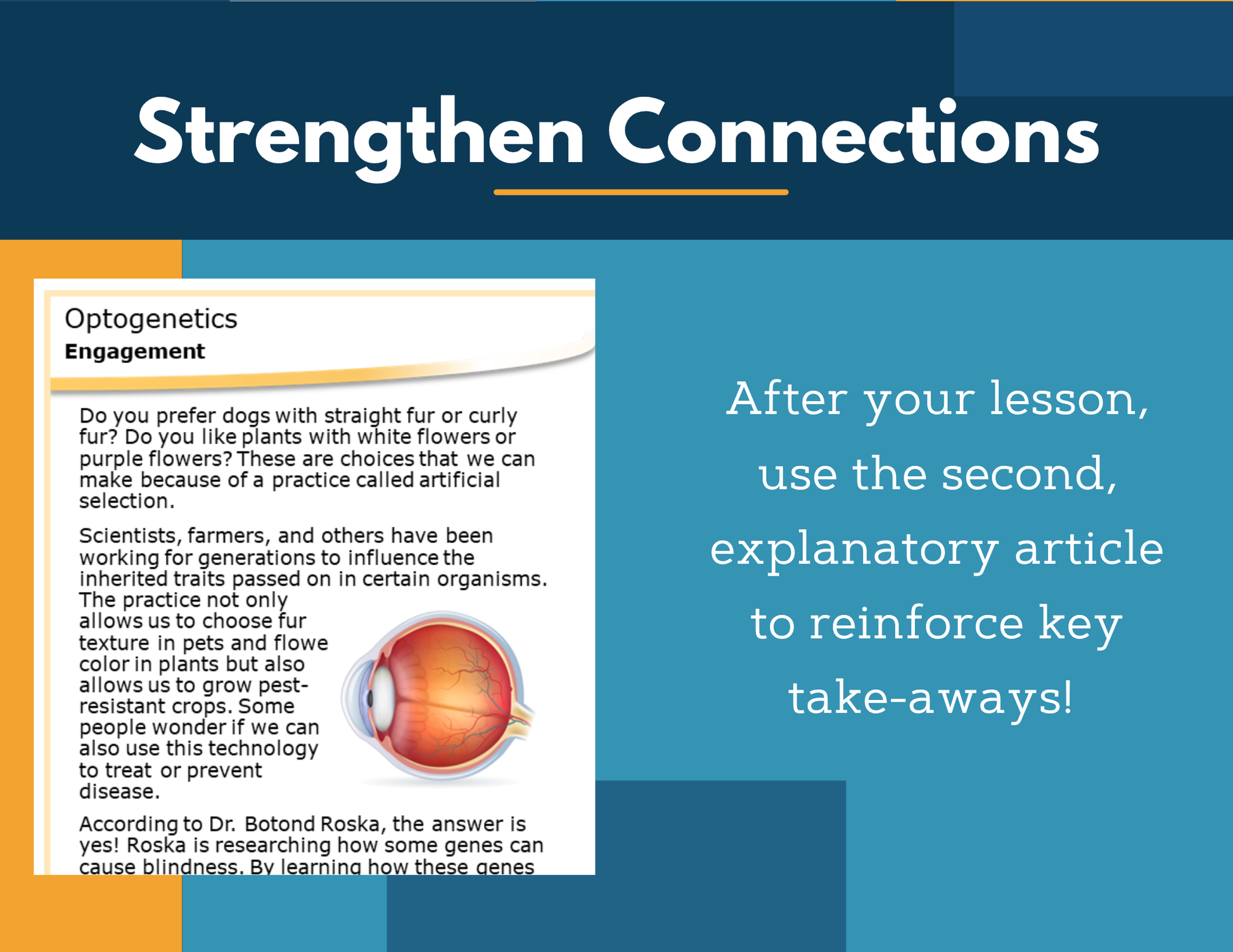 Amazing Anchors Inheritance of Desired Traits (Optogenetics) - NGSS MS LS4-5
