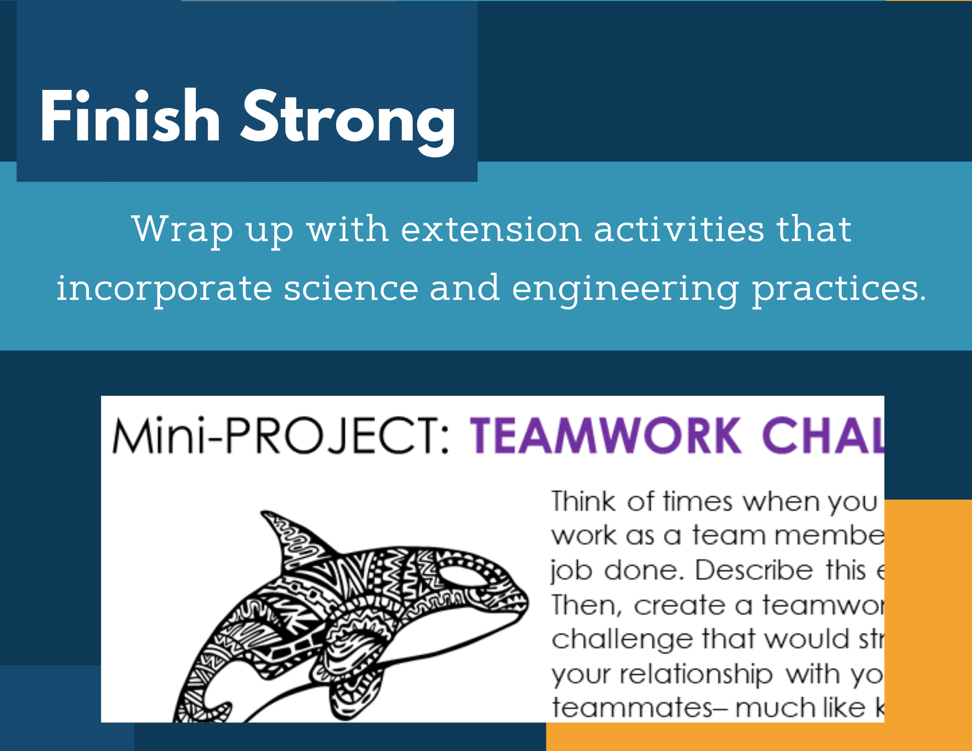 MS 6th 7th 8th Science Reading Comprehension Passages - Killer Whales