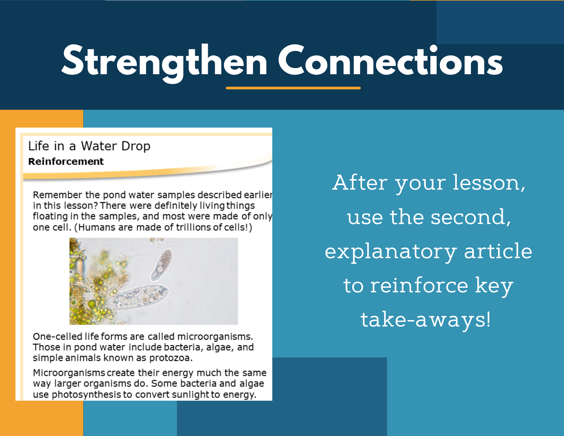 Amazing Anchors Evidence of Living Things (Life in a Water Drop) - NGSS MS LS1-1