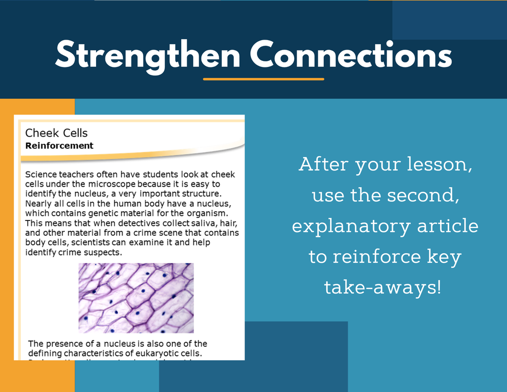 Amazing Anchors Prokaryotic & Eukaryotic (Cheek Cells) - MS 6-8