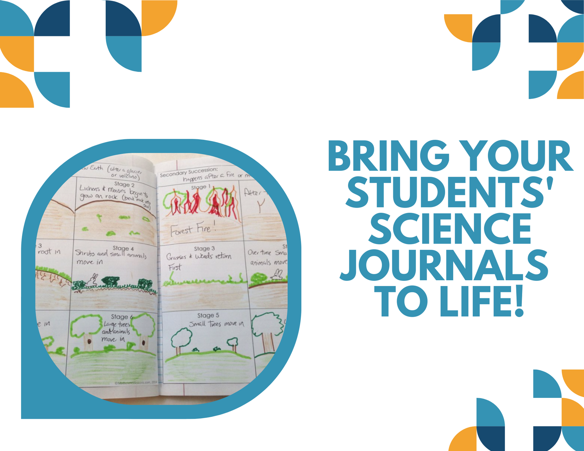 Ecosystem Relationships Interactive Notebook Pages - Paper INB - MS 6-8