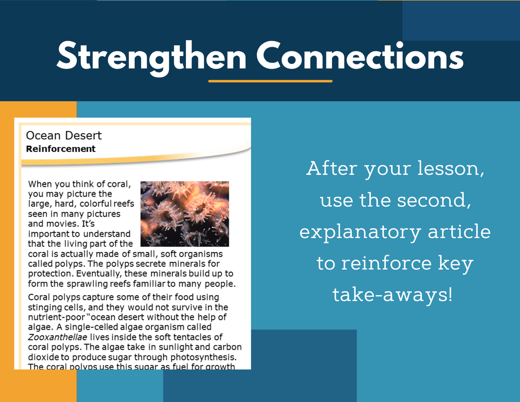 Amazing Anchors Role of Photosynthesis (Ocean Desert) - NGSS MS LS1-6