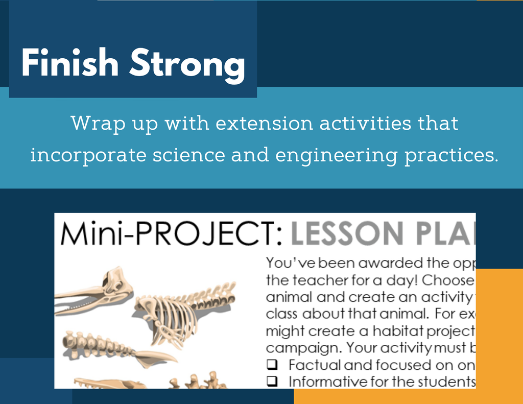 MS 6th 7th 8th Science Reading Comprehension Passages - Fossil Formation