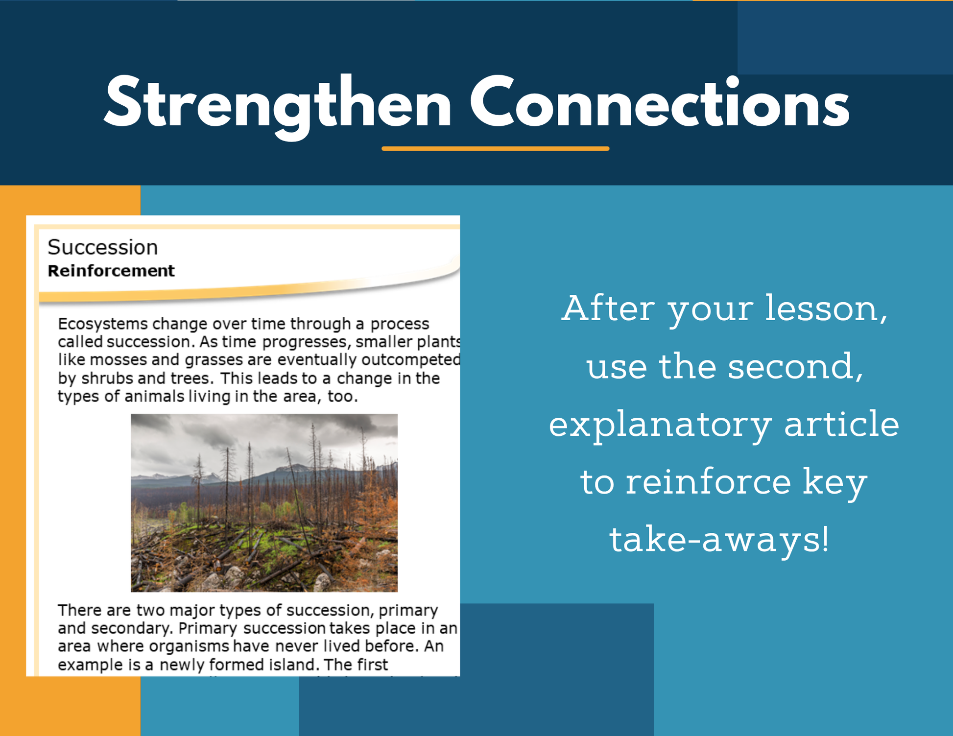Amazing Anchors Ecological Succession - MS 6-8