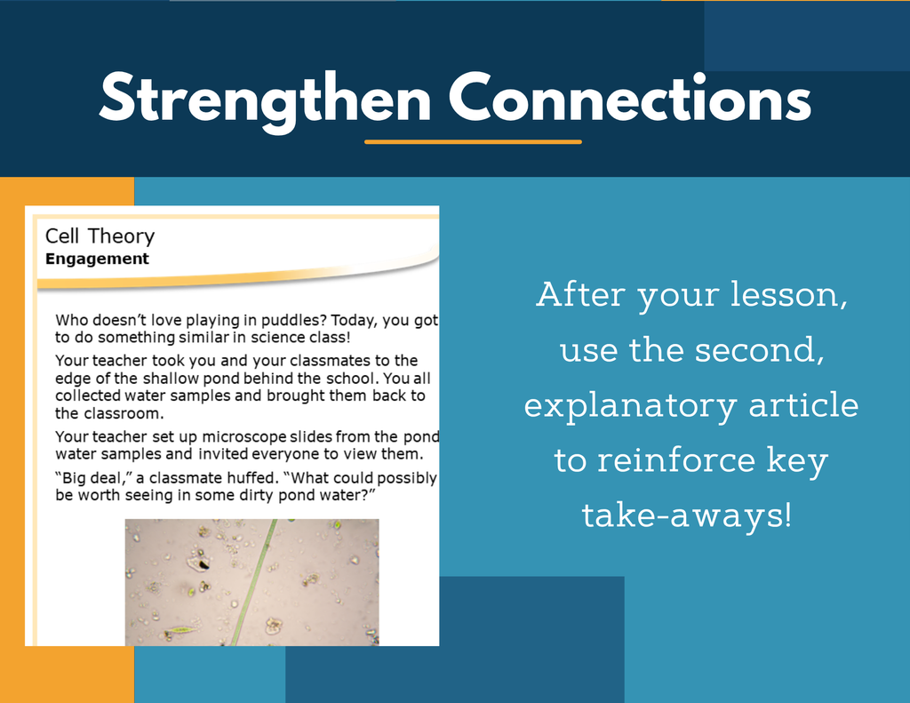 Amazing Anchors Cell Theory - MS 6-8